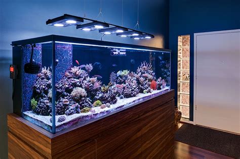 Aquarium tank lighting systems