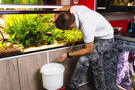 Aquarium tank maintenance