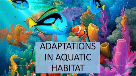 Aquatic Adaptations in Underwater Combat