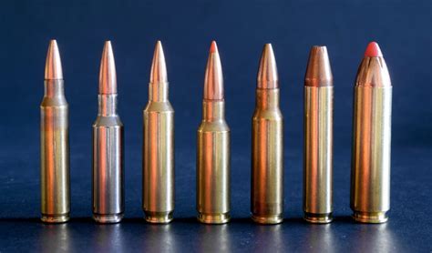 AR Calibers for Hunting and Self-Defense