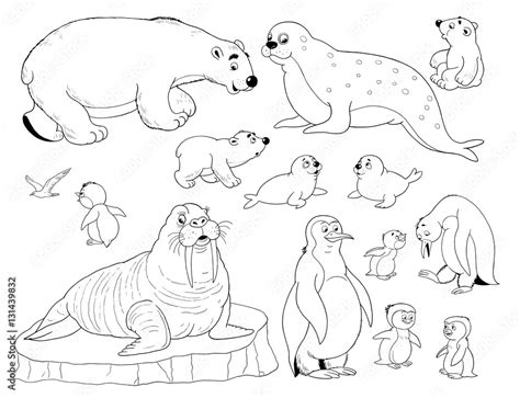 Arctic Animal Coloring Pages