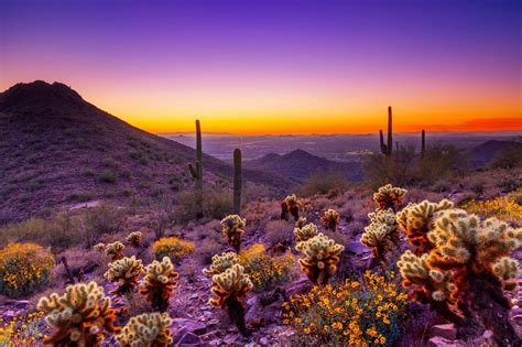 Arizona Desert Landscape