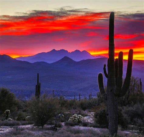 Arizona Sunset