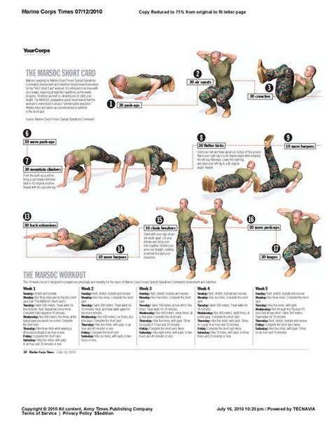 Army Basic Training Exercises