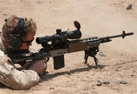 Army Ranger with Mk 14 EBR