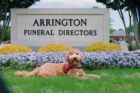 Arrington Funeral Directors