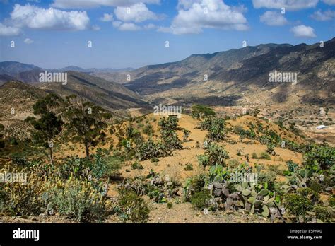 Asmara's surrounding countryside