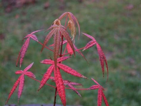 Autumn colors inspiration