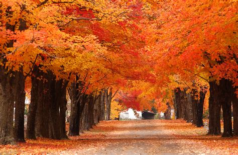 Autumn Colors