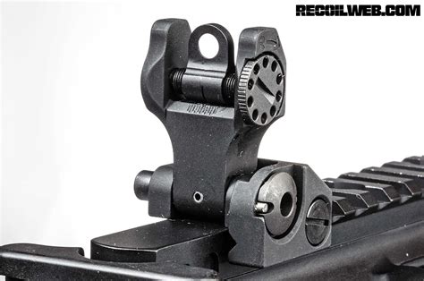 Backup Iron Sights Image 1