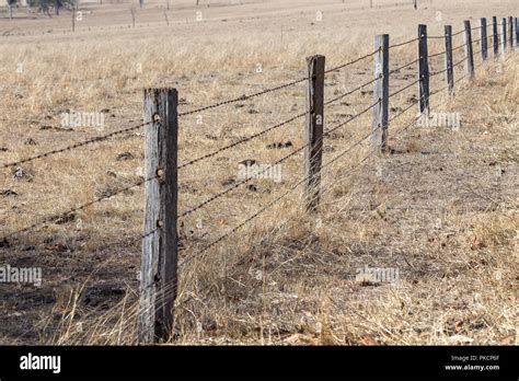 A barbed wire fence stretching across the American West