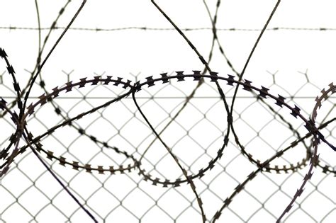 A bookshelf with books about barbed wire fencing history