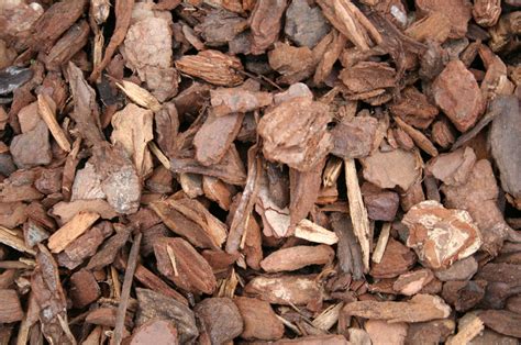 Bark Chips Alternative to Dirt