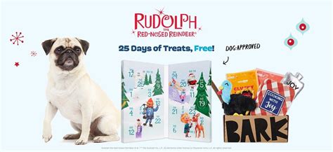 Bark Box Advent Calendar Coupon