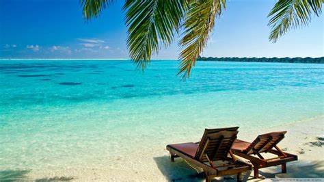 A serene beach scene at Cemetery Point Beach