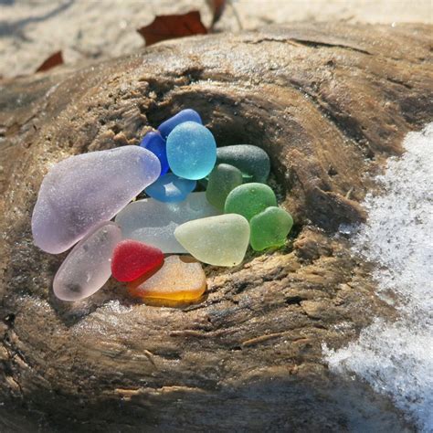 Beachcombing