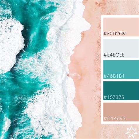 Beachy color palette inspired by driftwood