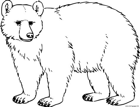 Bears coloring pages