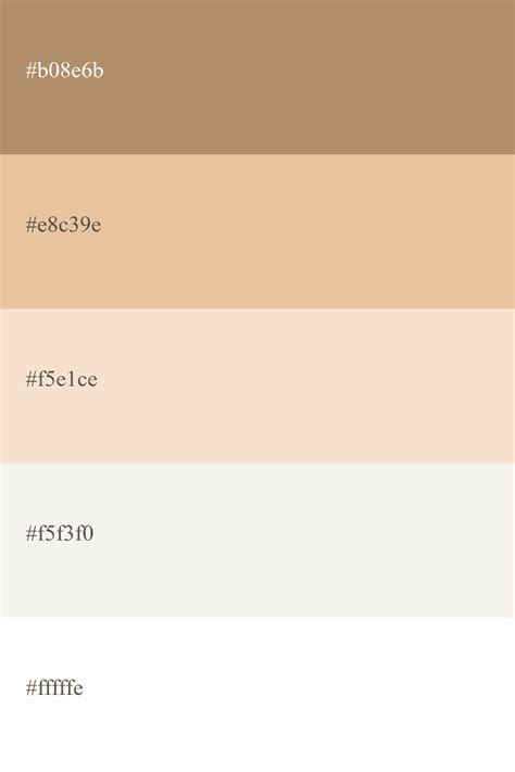 Beige Color Palette Gallery 2