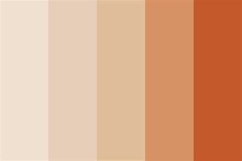 Warm Beige Terracotta Color Palette