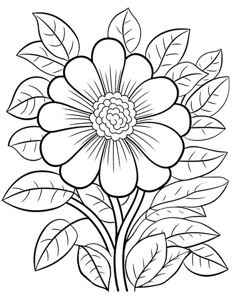 Benefits of flowers coloring pages