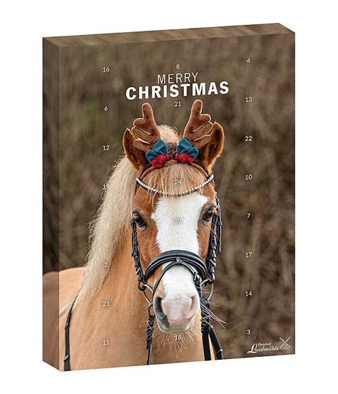 Benefits of Horse Advent Calendars