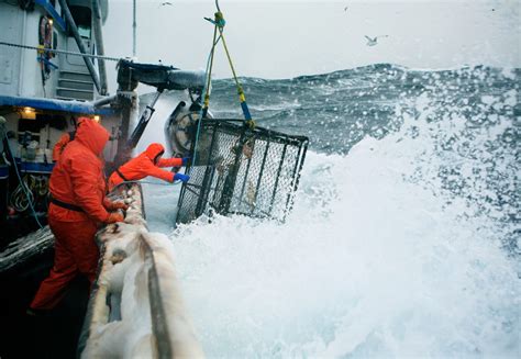 Bering Strait fishing industry