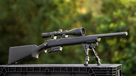 Top Semi Auto Rifles for Shooters