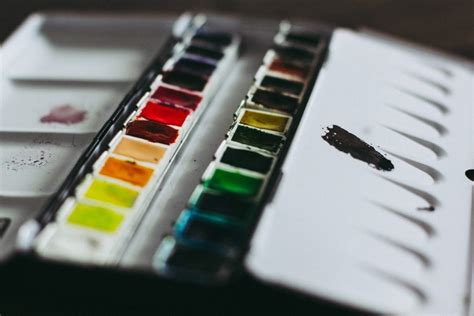 Best Watercolor Paint Palettes for Artists