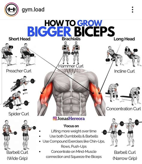 Bicep Training Image 1