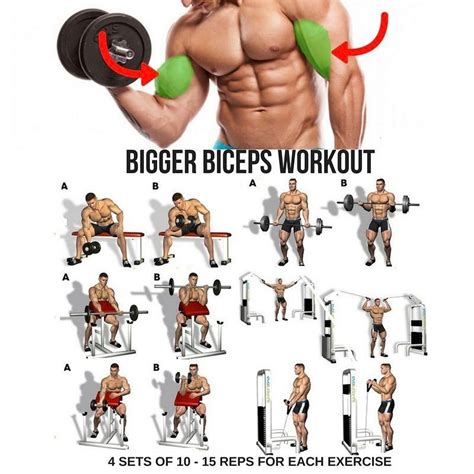 Bicep Training Image 4