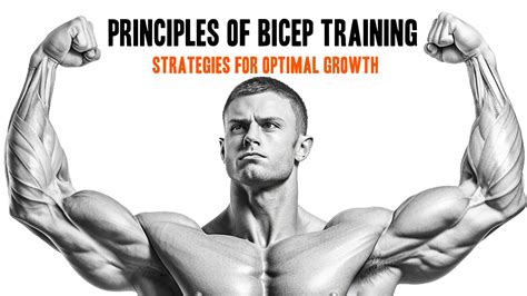 Bicep Training Principles