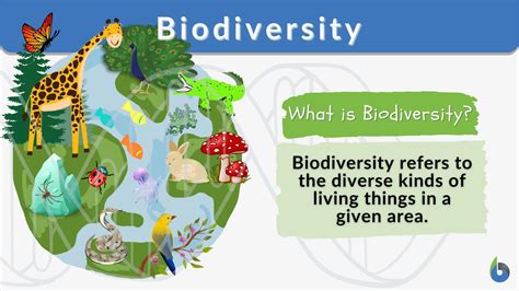 Biodiversity and Ecosystems