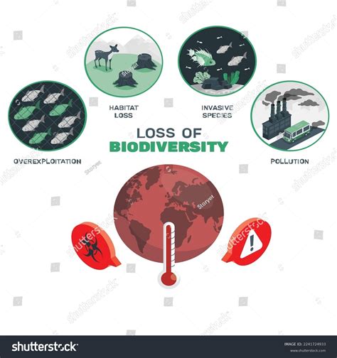 Biodiversity loss