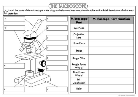 Biology worksheets