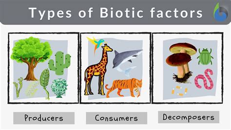 Biotic factors that affect carrying capacity