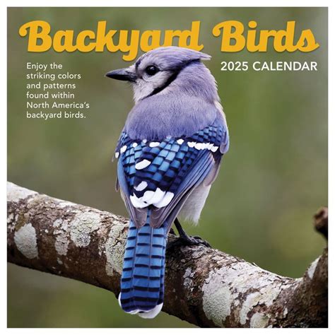 Bird Calendars Image