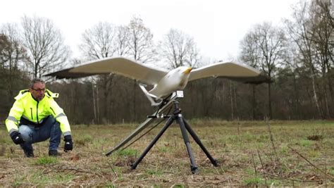 Bird drone surveillance image