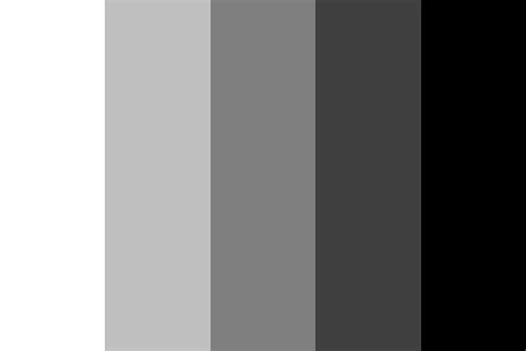 A Black and White Artist Palette