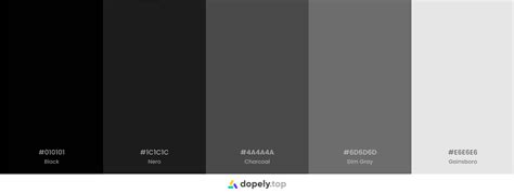 Black color palette used in handbags