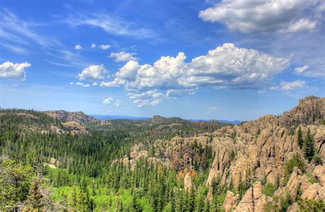 Black Hills Nature