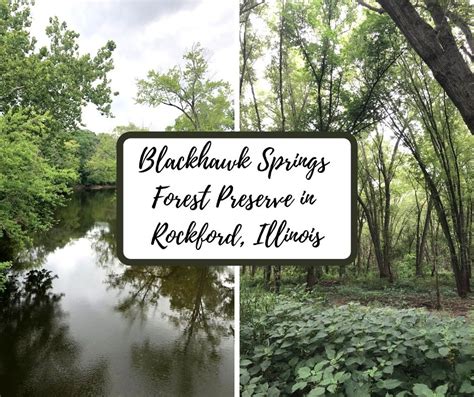 Blackhawk Preserve Flora