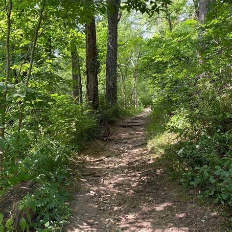 Blackhawk Preserve Hiking Trails