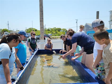 Hands-on Learning at Block Island Maritime Institute