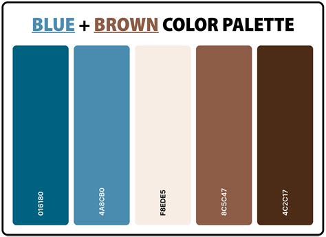 Blue and Brown Color Palette Design Inspiration