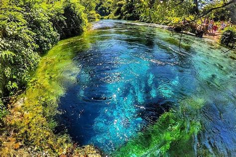 Blue Eyes in Nature