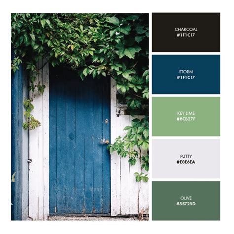 Blue Green Branding Design Inspiration