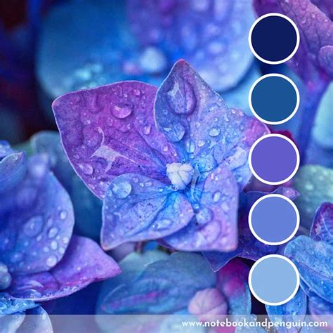 Blue and Purple Color Palette Design Ideas