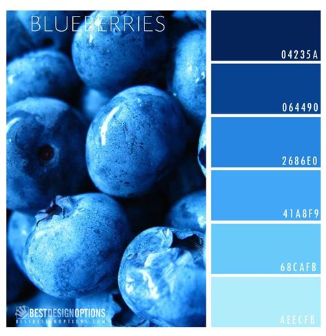 Blueberry Color Palette Example