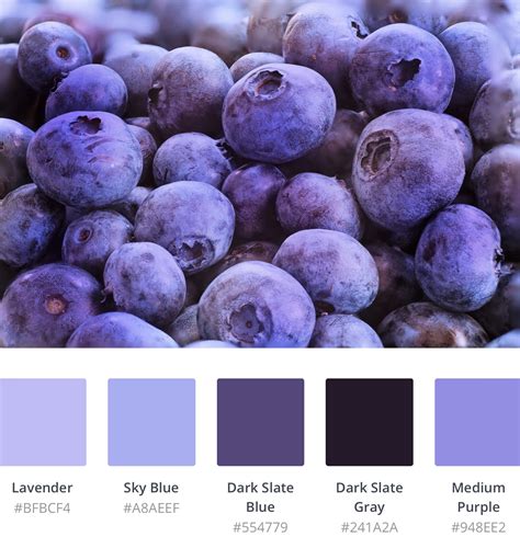 Blueberry Color Palette Inspiration